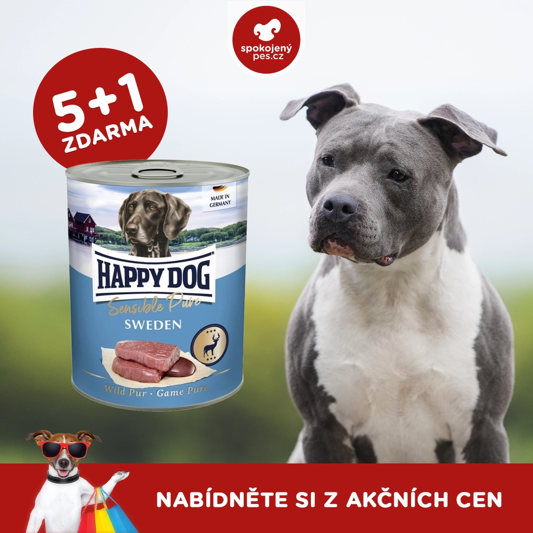 dog happy dog.webp